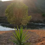 Quinta Da Varzea Grande - Portimão