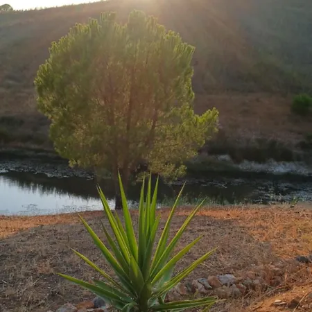 Quinta Da Várzea Grande - Portimão