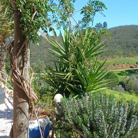 Casa de Férias Quinta Da Várzea Grande -