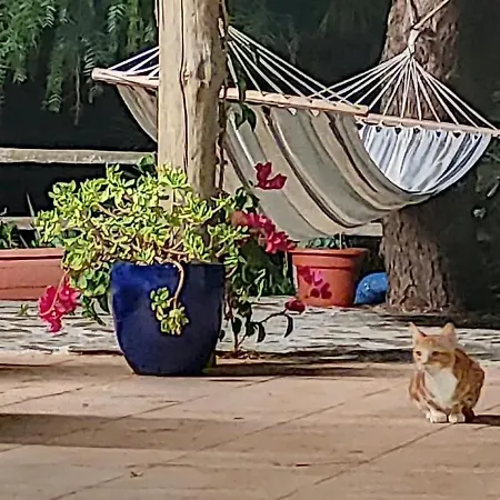 Quinta Da Várzea Grande - *