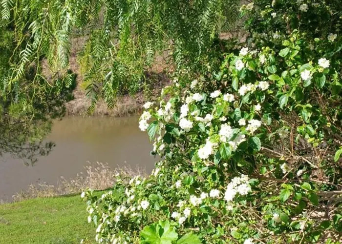 度假居 Quinta Da Varzea Grande - 波尔蒂芒